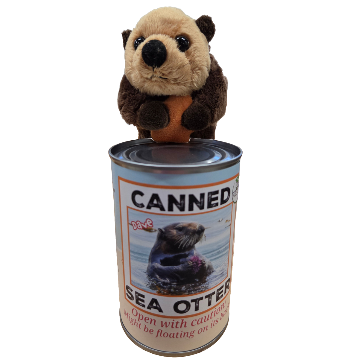 Dave the Canned Sea Otter