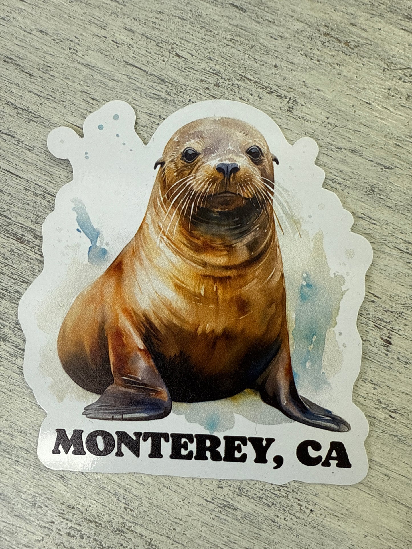 Sea Lion Sticker