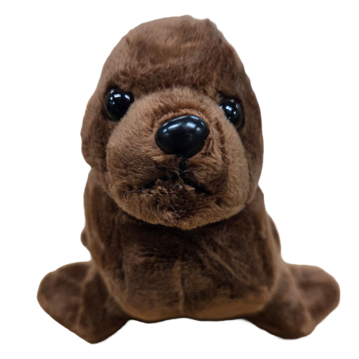 Splash the Canned Sea Lion